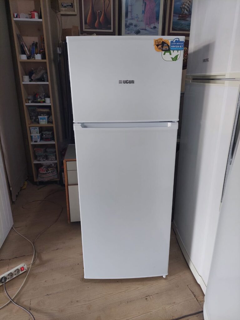 Mini Buzdolabı